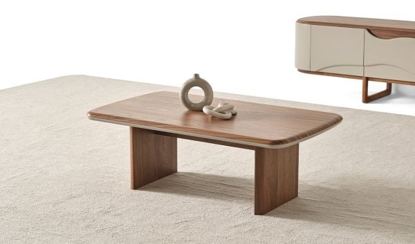 Alisa Duvar Ünitesi